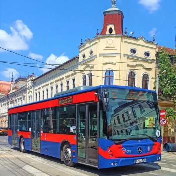 Bus line 41 to be introduced